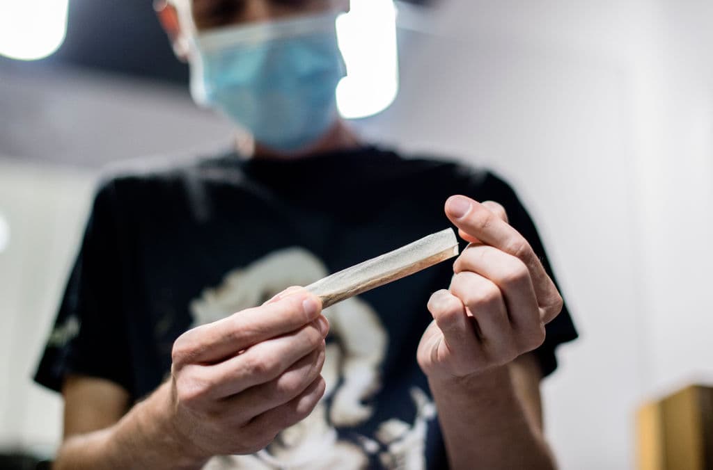 Legalización de la marihuana, entre las propuestas en la boleta de Nueva Jersey para las elecciones