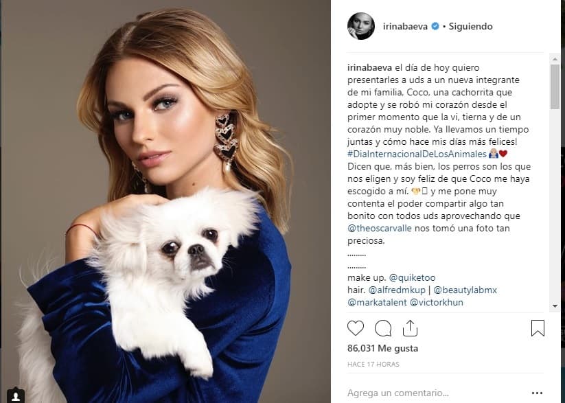 Luego de la publicación de Bazán, Irina Baeva presentó en Instagram a su perrita 'Coco', que lleva varios años con ella. 'Coco' también es adoptada.