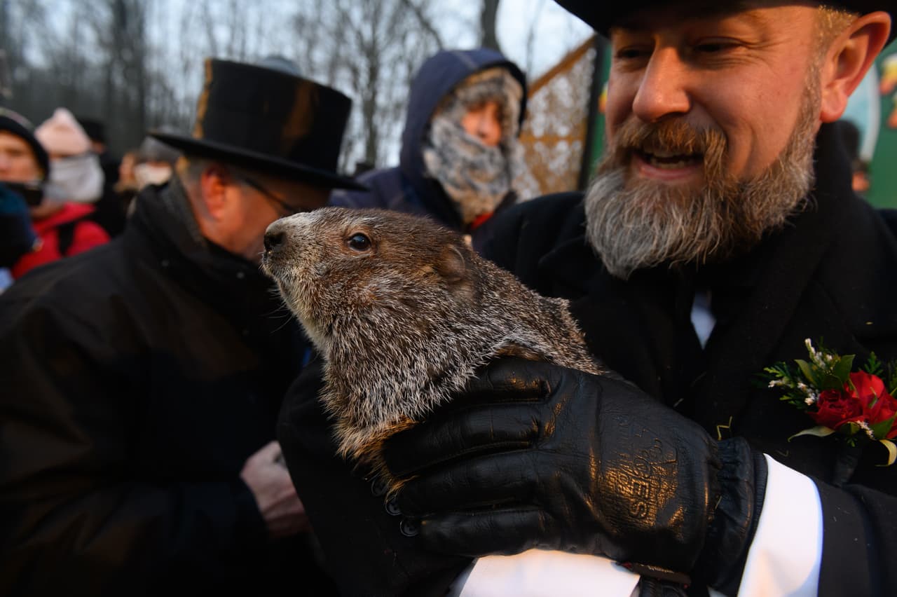 Punxsutawney Phil predice seis semanas más de invierno en el Día de la Marmota