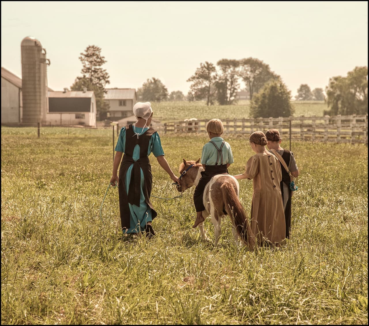 <b>The Amish Farm and House </b>
<br>Dirección: 2395 Covered Bridge Dr, Lancaster, PA. 17602
<br>Teléfono: 717-394-6185
<br>Sitio web: 
<a href="https://www.amishfarmandhouse.com/">https://www.amishfarmandhouse.com/</a> 
<br>
<b><a href="https://goo.gl/maps/EDH8dThTJt8FVgJN9?coh=178573&entry=tt">Cómo llegar</a></b>
<br>
<br>Ofrece visitas guiadas a casas y autobuses, paseos en buggy, visitas a granjas de 15 acres, animales, artesanos Amish, comida y más. Se puede visitar la histórica casa museo y sumergirse por completo en el estilo de vida Amish.