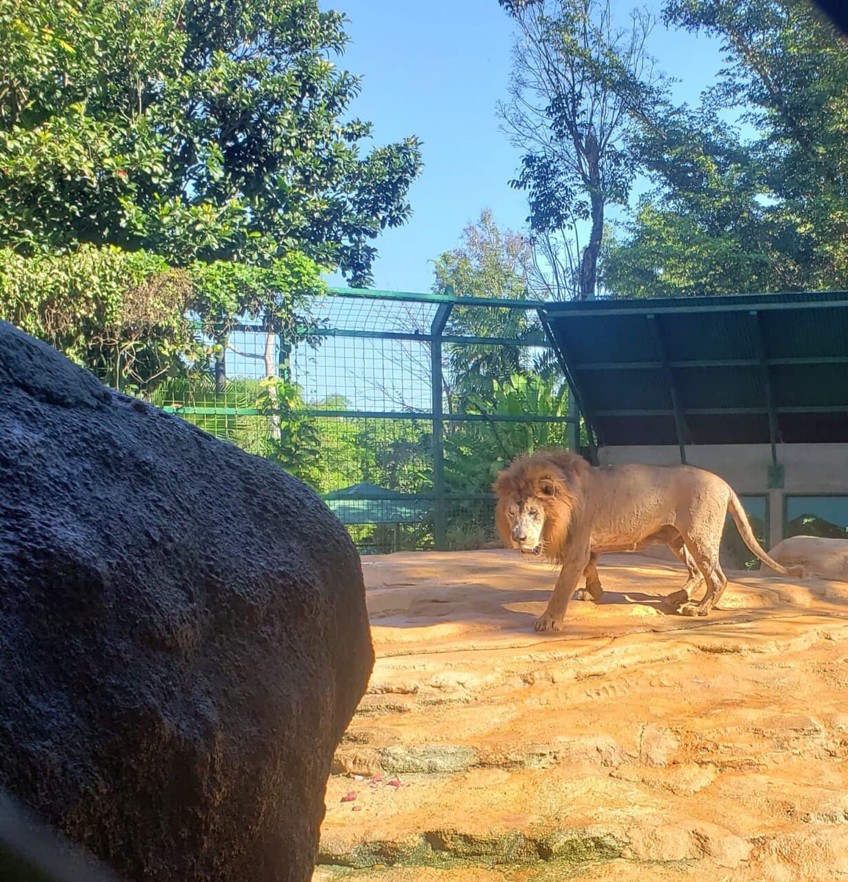 También han denunciado que los animales viven en condiciones precarias.