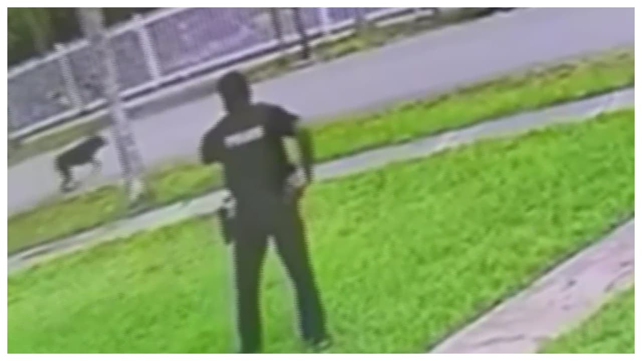 Familia denuncia que un policía mató a tiros a su perro