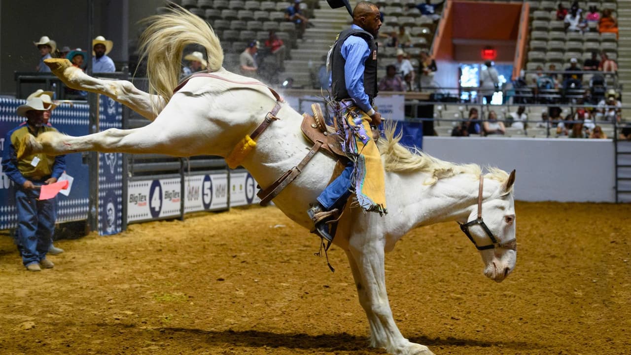 Uno de los puntos más destacados es 
<b>el regreso del Rodeo de la Feria Estatal de Texas y la emocionante Fiesta de Rodeo Mexicana</b>, celebrando la cultura y la habilidad ecuestre 
<b>durante todos los fines de semana</b>. No te pierdas “La Majestuosidad del Caballo”, una exhibición que destaca
<b> la belleza y diversidad de estas magníficas criaturas</b>, presentada por el renombrado jinete Jerry Díaz y su familia.