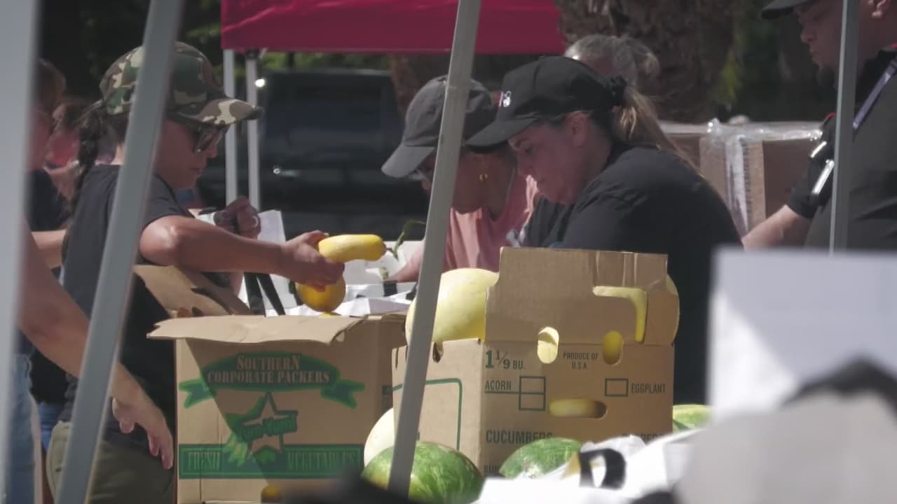Más de 200 familias reciben ayuda alimentaria en jornada comunitaria en Orlando