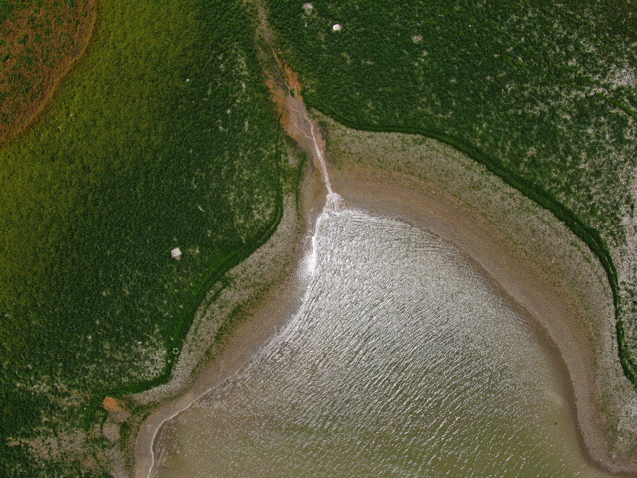 La sequía está relacionada con el evento meteorológico conocido como La Niña, cuyos efectos se han intensificado con el cambio climático. La Niña es un enfriamiento natural y cíclico de partes del Pacífico ecuatorial que cambia los patrones climáticos en todo el mundo. En algunas áreas, como el norte de México y el suroeste de Estados Unidos, eso ha provocado un aumento de la sequía.
