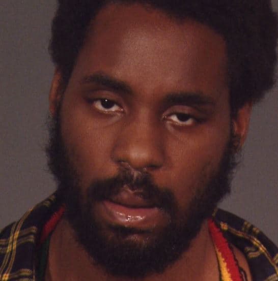 Suman 23 los casos de acuchillados al azar en NYC