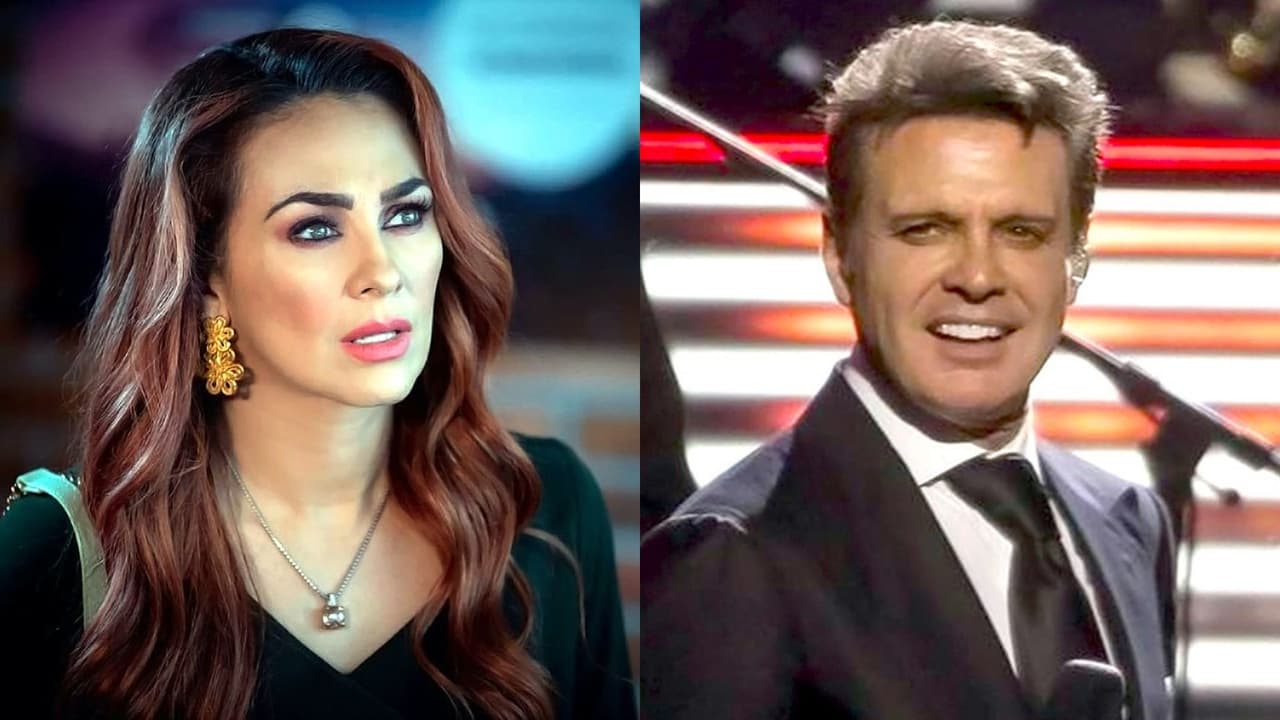 Aracely Arámbula ya habría cobrado el dinero de Luis Miguel: esta sería la millonaria suma