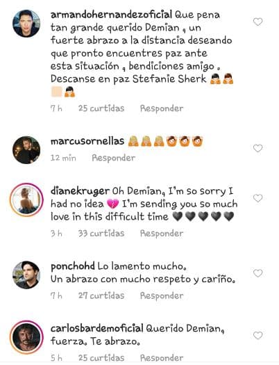 Actores como Armando Hernández, Marcus Ornellas, Diane Kruger, Alfonso Herrera, Carlos Berdem, entre otros, reaccionaron a la publicación de Bichir. Además, una de sus exparejas de Demián también se hizo presente en Instagram.