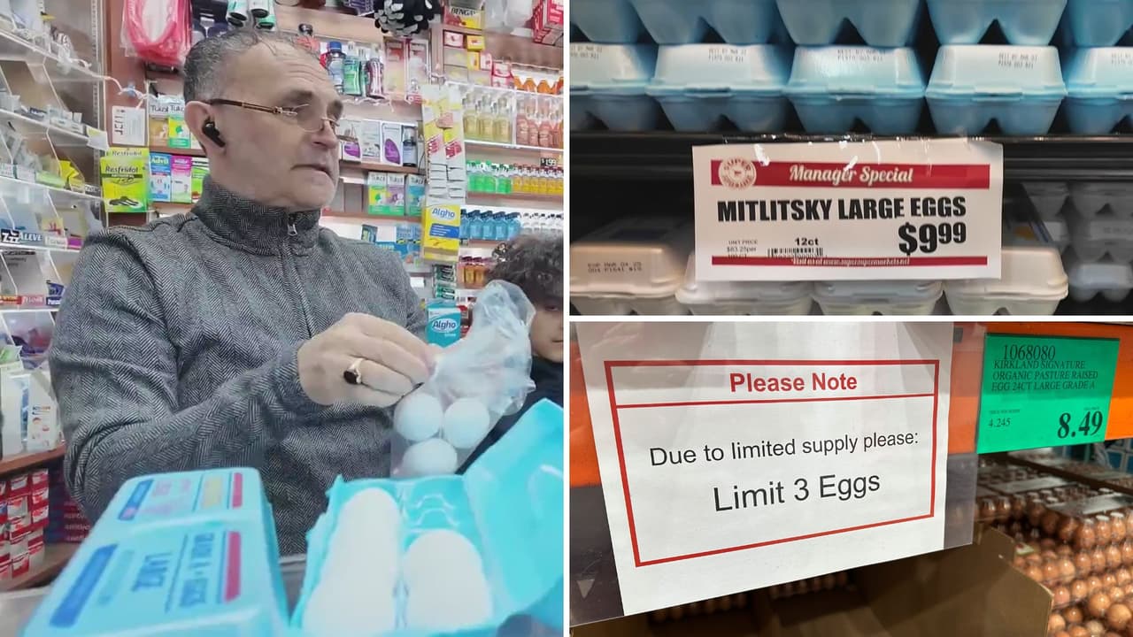 Bodegas de NYC venden huevos al detalle ante altos costos; experto señala cuando bajaría el precio