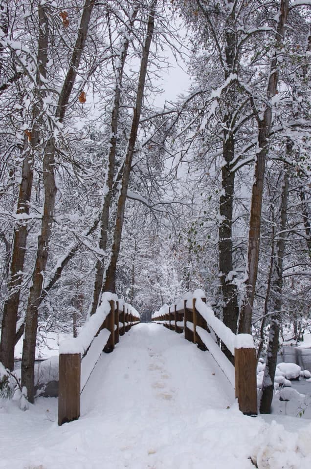 "En Yosemite National Park, CA", escribió Enrique Guarcas.