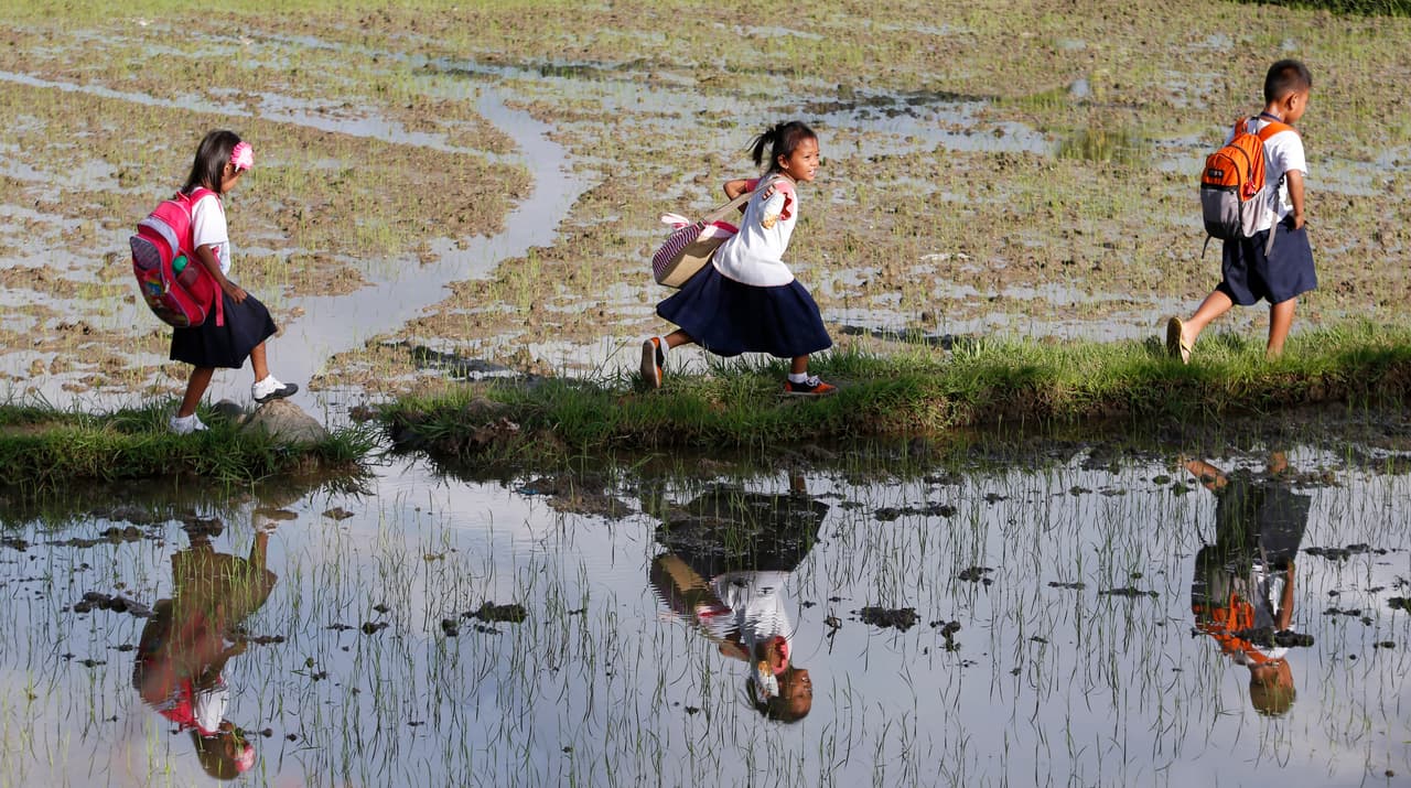 <b>Filipinas. </b>Alumnos de una escuela primaria caminan alrededor de dos millas entre los campos de arroz, de regreso a casa después de asistir a las clases en Mogpog. 19 de agosto de 2014.