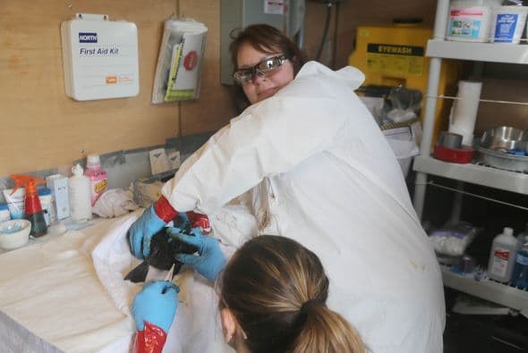 Continúan las labores de limpieza tras derrame de petróleo