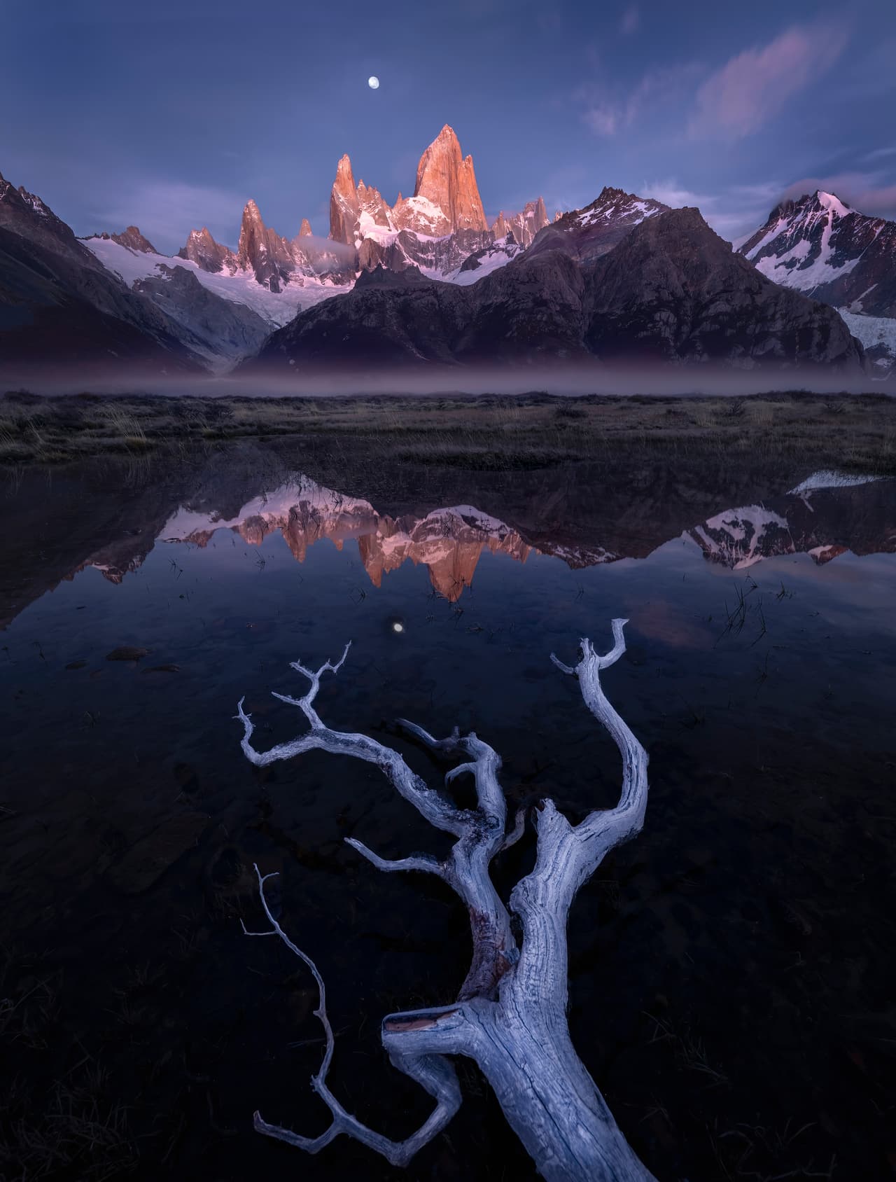 Gracefully
<b> (Elegantemente). </b>Locación: Patagonia, Argentina.
<br>Tercer puesto: International Landscape Photographer of the Year: 
<b>Joyce Bealer, Estados Unidos.</b>