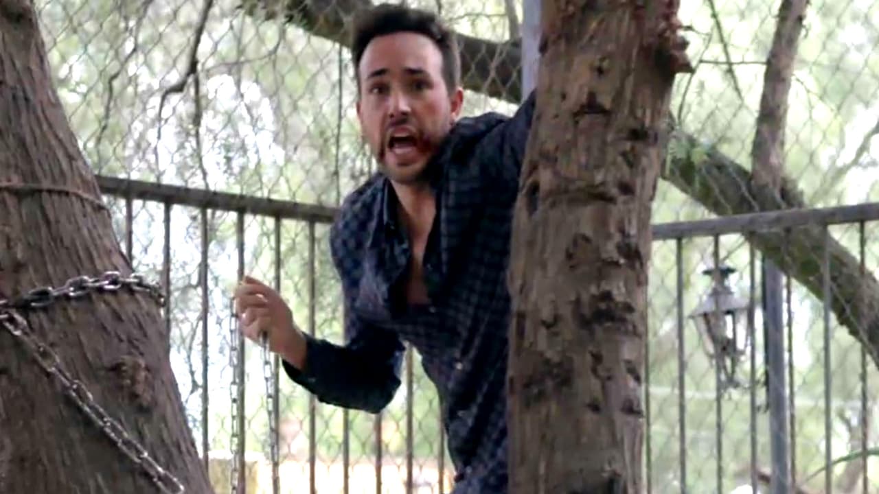 El animal desconoció a su dueño y lo atacó enseguida.