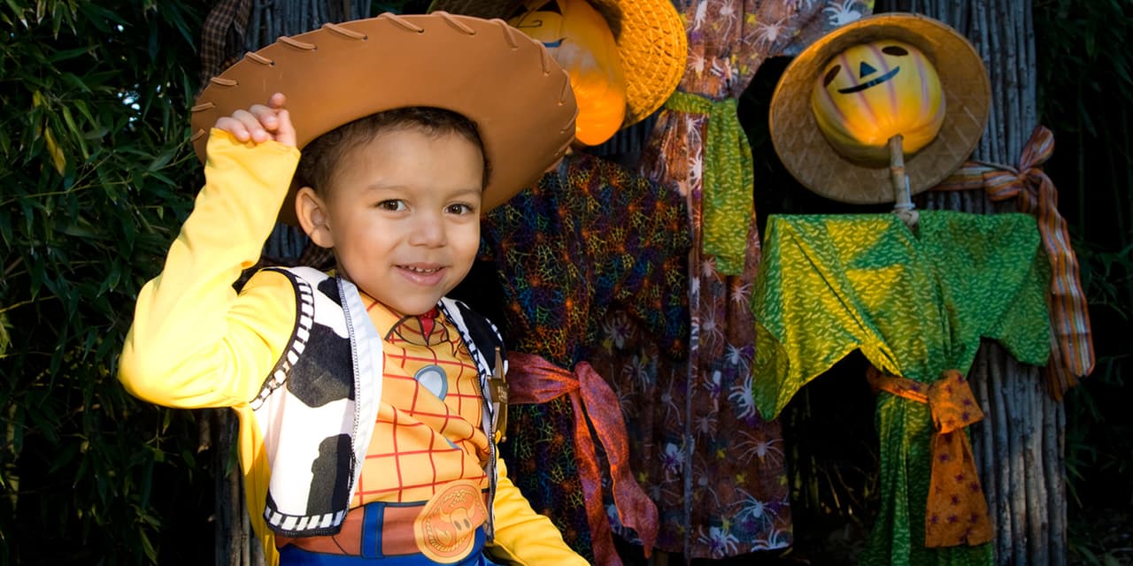 <b>Boo at the Zoo (Smithsonian zoo, Washington DC). </b>Cada ciudad con zoológico ofrece su Boo at the Zoo, pero el zoológico de Washington DC es uno de los favoritos.
<br>