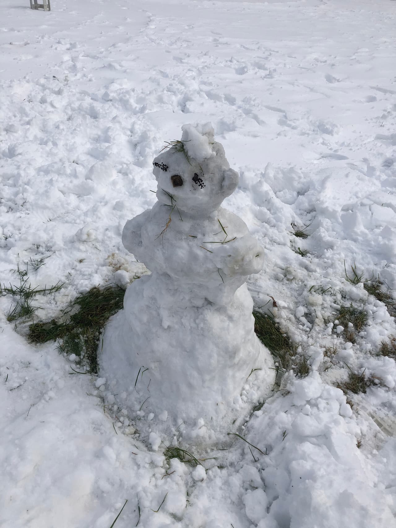 Por primera vez en dos años cayó tanta nieve que fue suficiente para hacer un muñequito. 
<br>