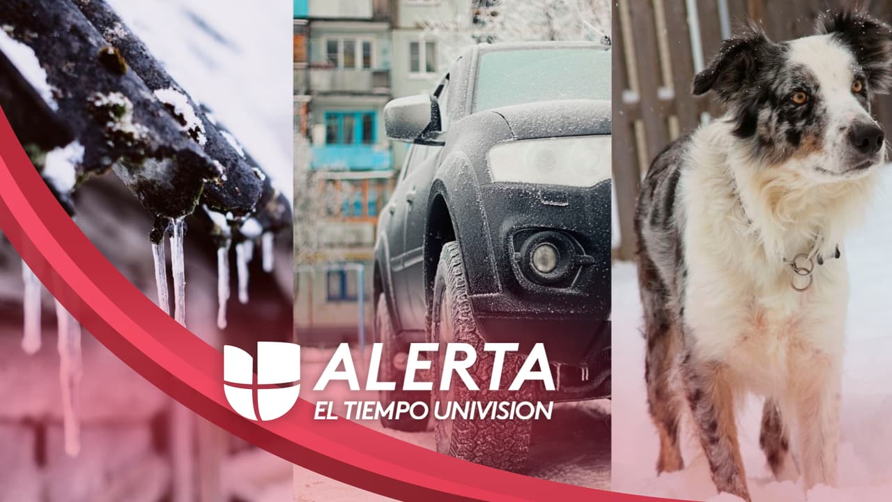 Cómo mantener a salvo tu hogar, carro y mascotas durante la alerta por frío extremo