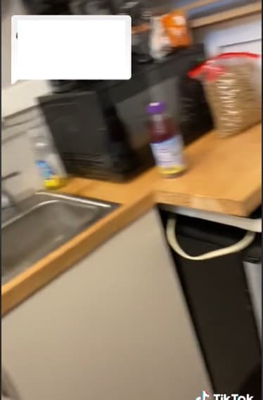 Su hija Kylie, de 25 años, filmó la reacción de la familia cuando todos se echaron a reír.