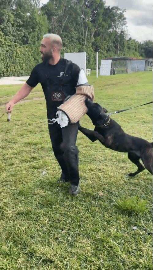 El productor musical ha publicado varios videos donde se puede apreciar el entrenamiento de Bacco.