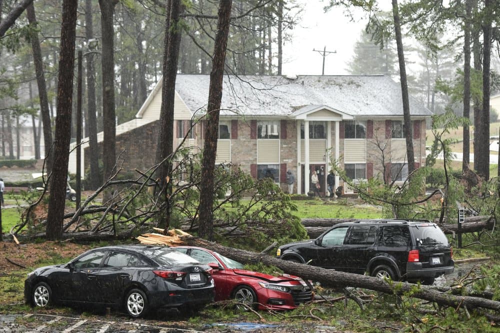 Un árbol cayó sobre un vehículo en un complejo de apartamentos dañado por el mal tiempo en Spartanburg, Carolina del Sur.