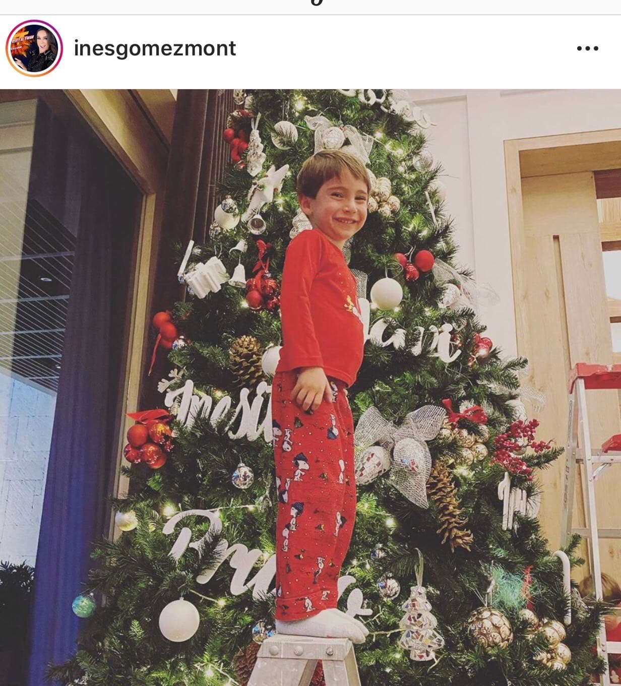 “Diario me preguntaban cuándo íbamos a poner el árbol, ¡les urgía!”, explicó.
<br>