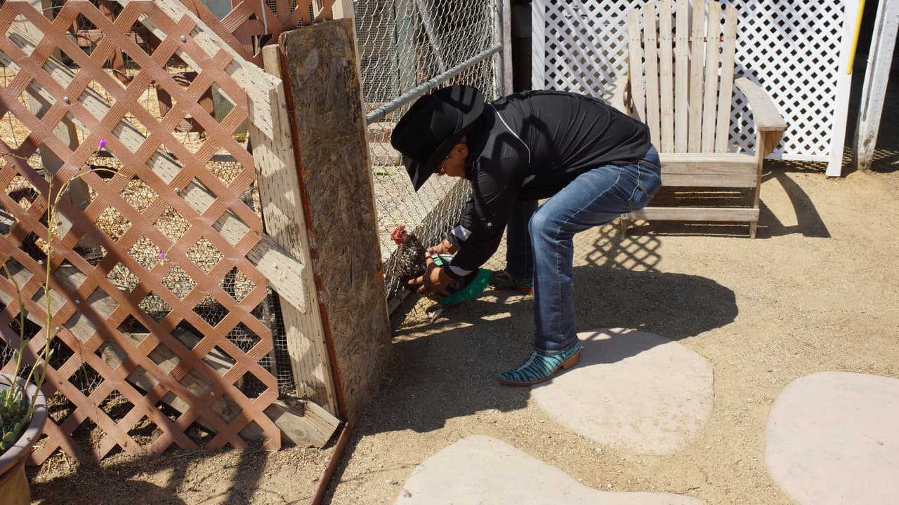 La Gallina Vidente llega al Gordo y La Flaca.