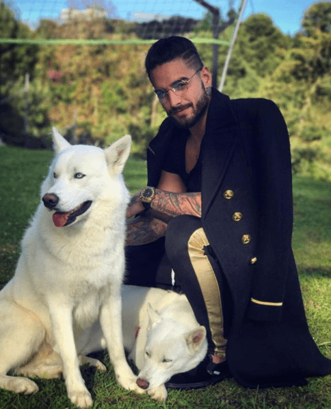 Junto a sus perros, el colombiano ha publicado alguna de sus fotos más populares en redes sociales.
