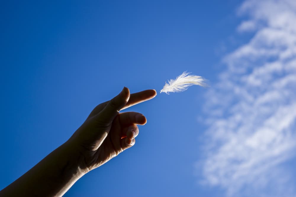 <b>Frase del día</b>: no te rompas la cabeza, lo que no puedes arreglar ni controlar... déjalo ir.