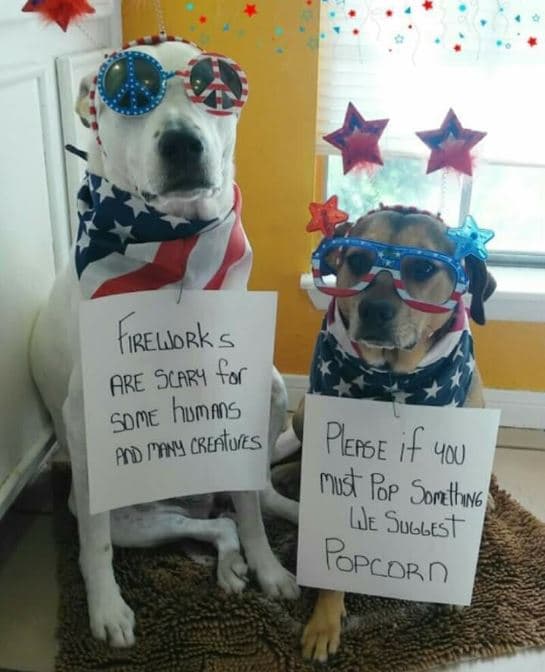 También puede comunicarse con 
<a href="https://www.petpoisonhelpline.com/" target="_blank">Pet Poison Helpline</a>, un centro de información para el envenenamiento de animales. El teléfono es 
<b>(855) 213-6680</b>.
<br>