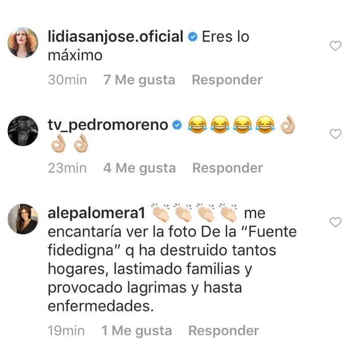 La actriz española Lidia San José, 
<b><a href="https://www.univision.com/shows/mira-quien-baila/pedro-moreno-el-actor-que-dejo-sin-palabras-a-las-juezas-de-mqb">el actor Pedro Moreno</a></b> y la relacionista pública Alejandra Palomera también apoyaron a Juan Soler, dejando saber que el mundo del entretenimiento está cansado de que se publiquen informaciones con fuentes anónimas y poco confiables.