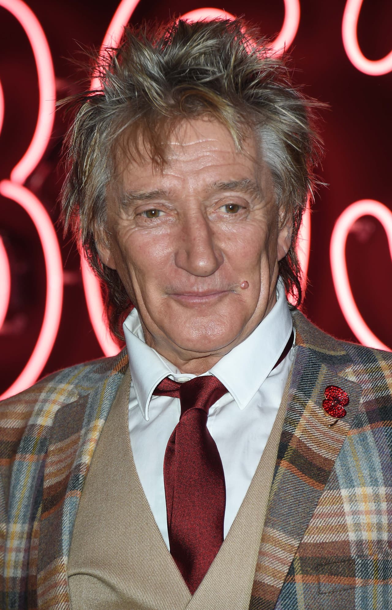 El cantante de origen británico, Rod Stewart, procreó a su sexto y séptimo hijo con su actual esposa, Penny Lancaster.