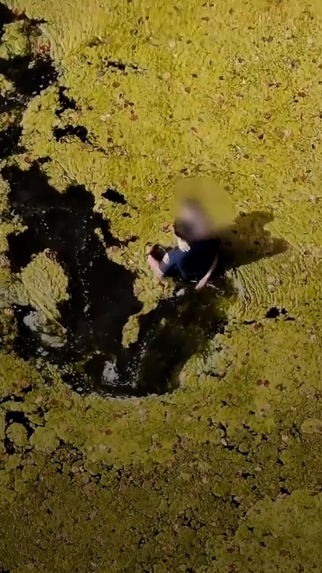 Policías rescatan a un niño de un estanque