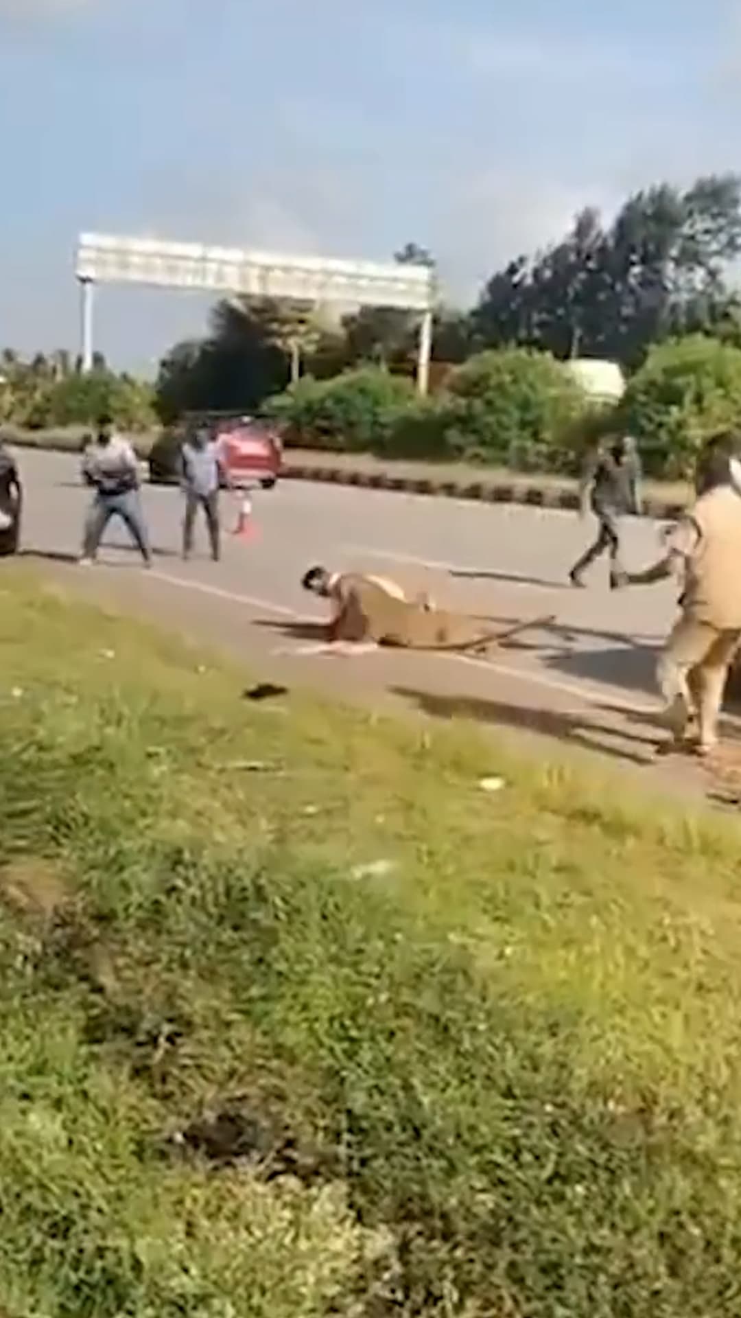 Video: Leopardo ataca a un hombre durante un rescate