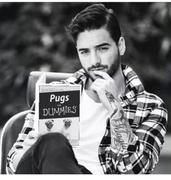 A continuación, te compartimos los memes más ingeniosos.