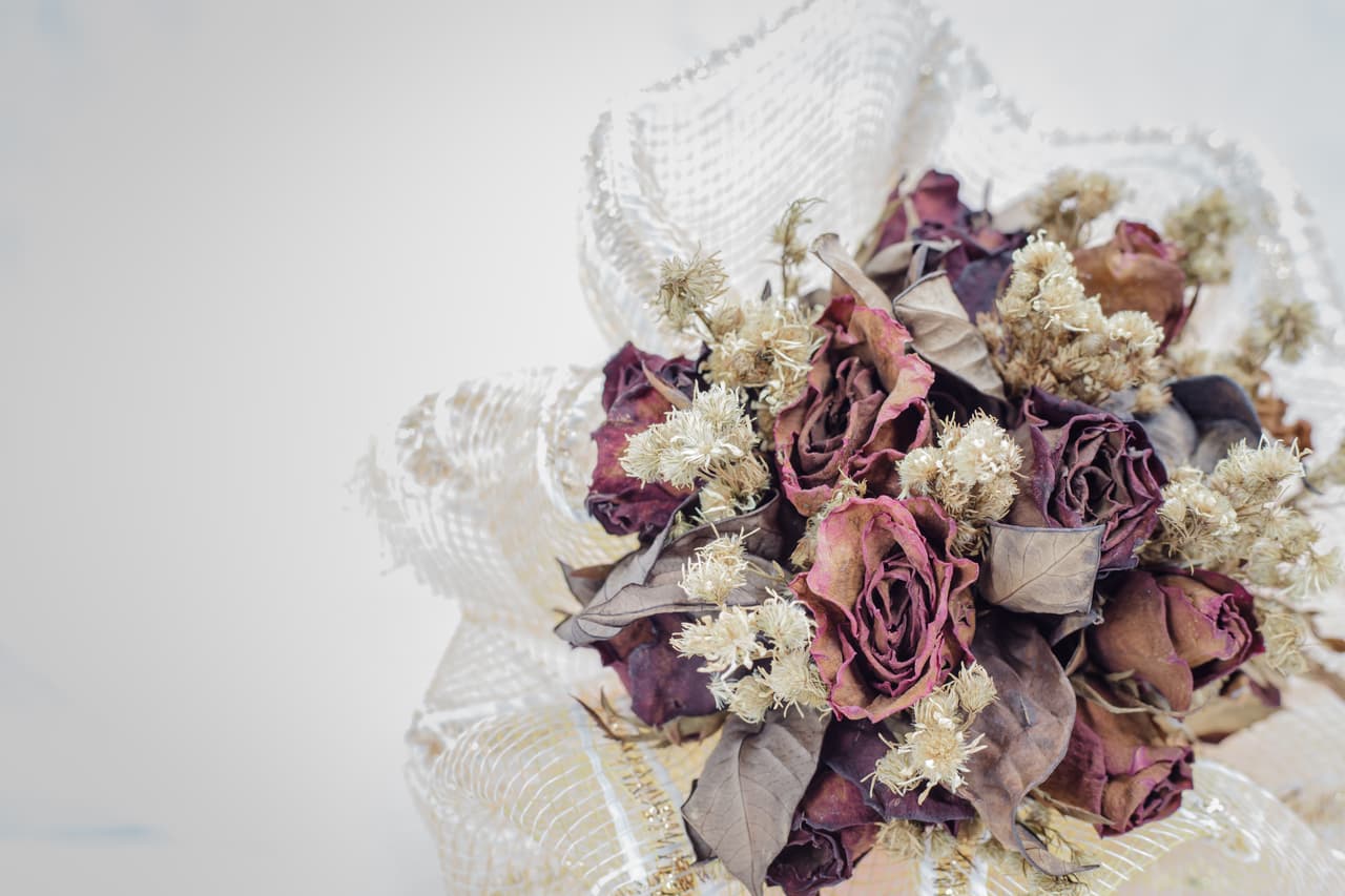 Son creaciones de la naturaleza que alguna vez estuvieron vivas y hermosas, pero después de un tiempo se convierten en cuerpos marchitos que ya no tienen nada más para ofrecerte. Remplázalas por flores nuevas o unas artificiales que te duren más tiempo, pero evita dejar las secas, pues estarás generando un espacio para las malas energías dentro de tu casa.