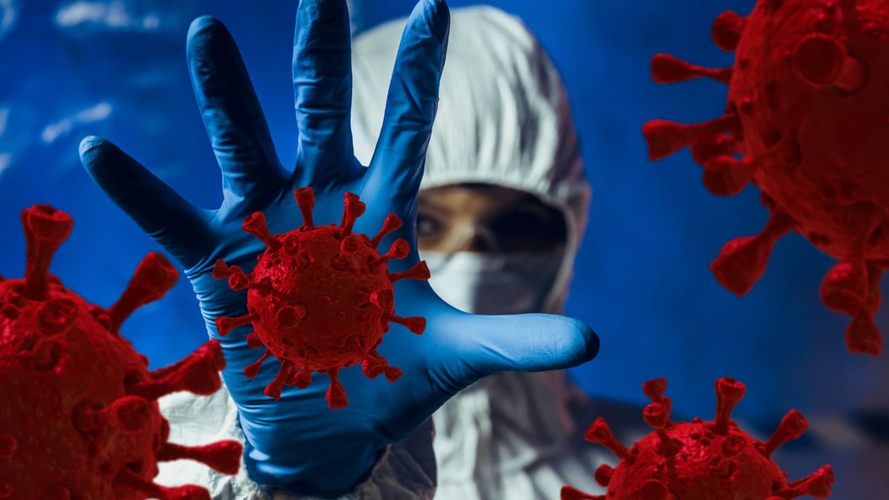 Los médicos advierten sobre la gripe, RSV y coronavirus antes de la cena de Acción de Gracias