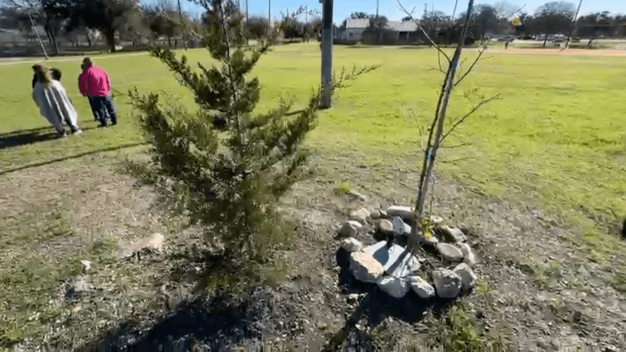En la vigilia para recordar a Savanah Soto, plantaron un árbol en su honor.