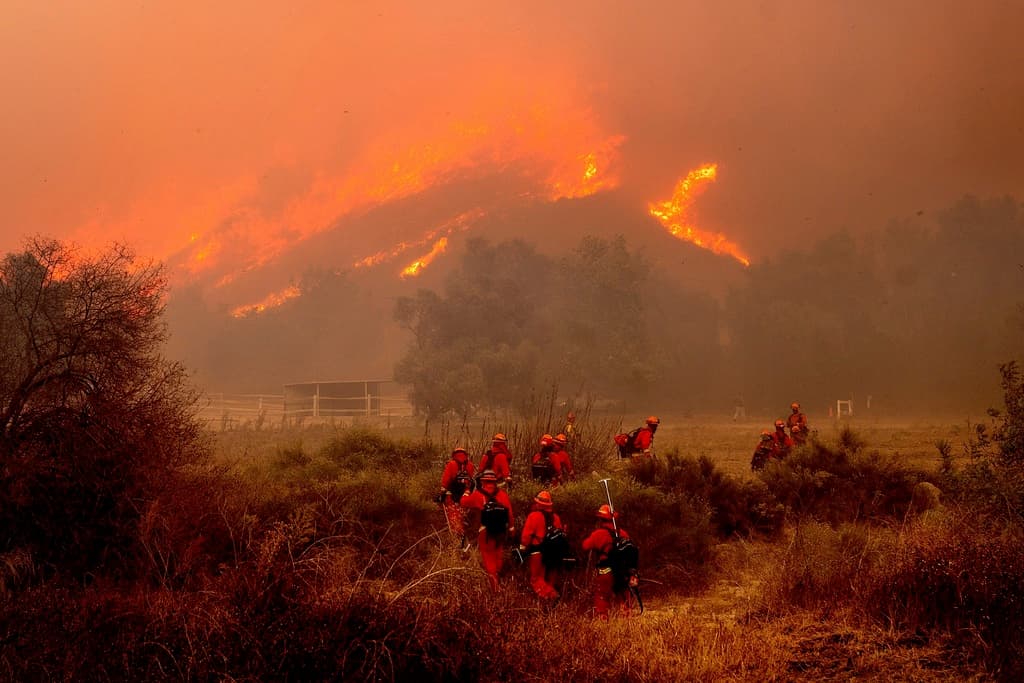 La investigación preliminar del incendio Mountain indica que los Vientos de Santa Ana lanzaban brasas desde plantaciones frutales, a dos millas de distancia, a vecindarios residenciales en la ciudad de Camarillo.