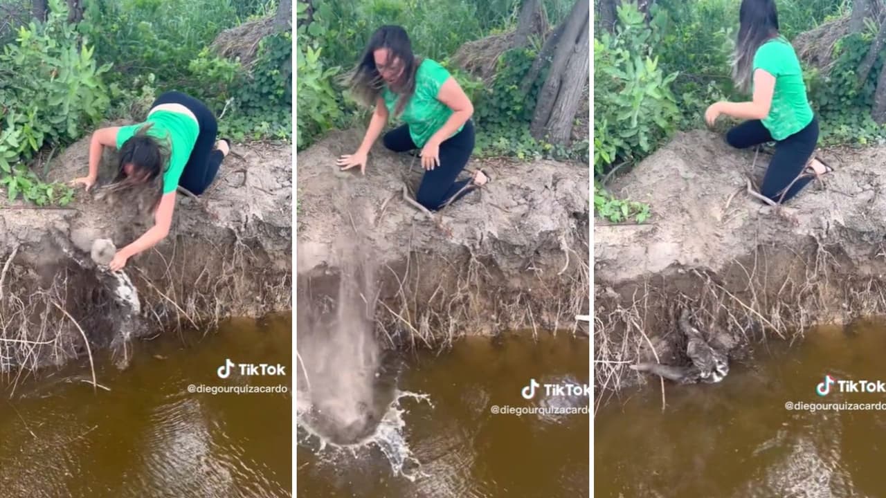 Mujer trata de ayudar a oso perezoso a cruzar río y sale mal: la atacaron en redes