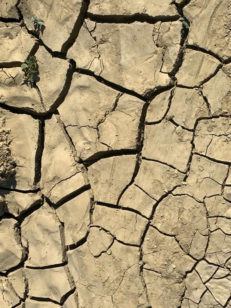 El distrito de agua de Fresno inició el corte del agua después de acordarlo en una junta el pasado mes de junio, lo cual esta agravando la situación de muchos 
<a href="https://www.univision.com/local/fresno-kftv/campos-agricolas-anticipan-perdidas-laborales-y-de-cultivos-debido-al-corte-de-agua-en-el-condado-de-fresno-video">agricultores</a> en el Valle Central. La falta del vital líquido esta provocando 
<b>que dejen de sembrar algunos productos</b> como lo son: el melón y el esparrago.