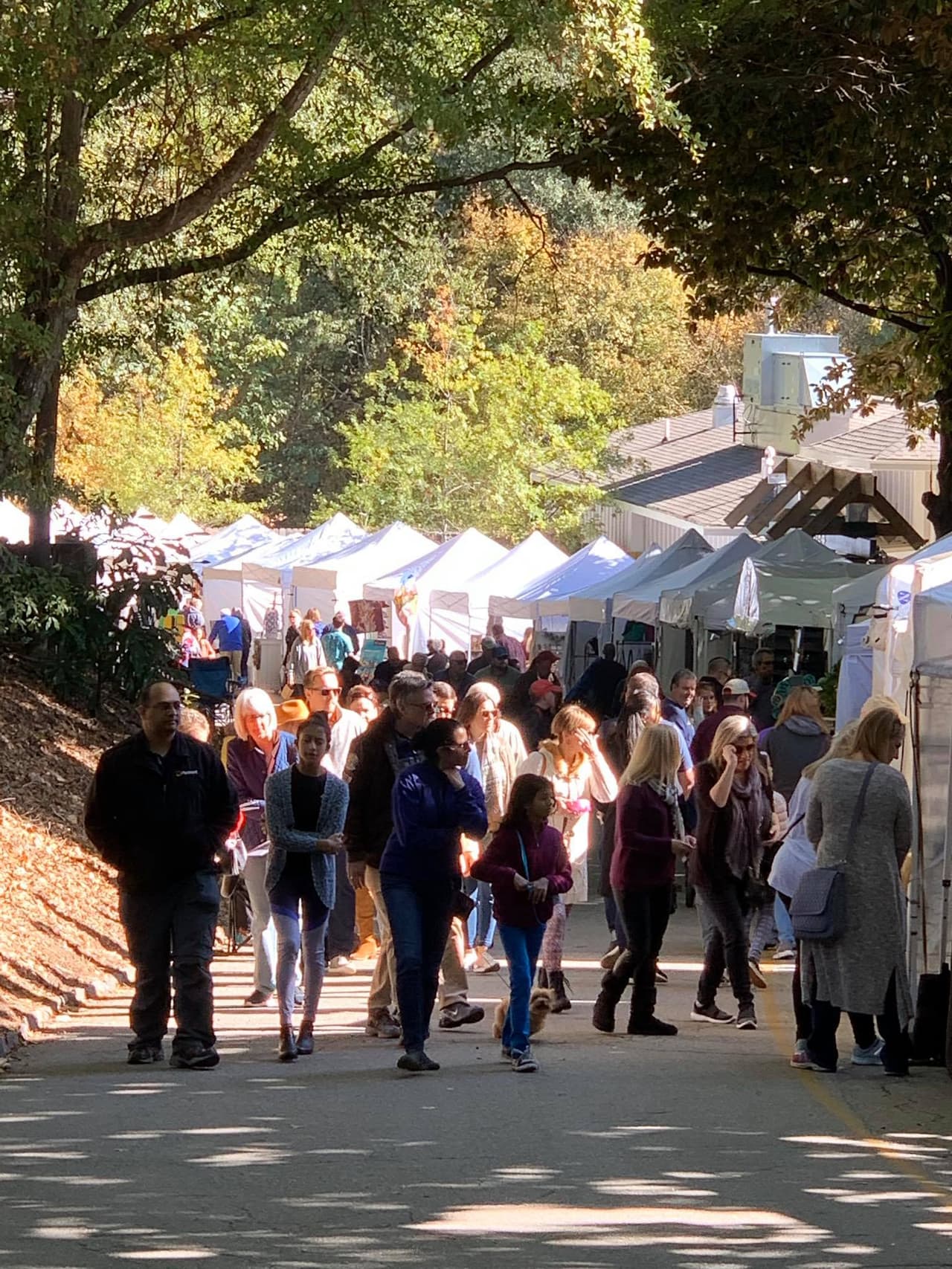 La actividad se realiza en el parque público más grande del condado de Fulton y según sus organizadores busca, entre otras cosas: “Retribuir a la comunidad a través del arte y crear un lugar que se centre en los artistas locales y de Georgia para que tengan un espectáculo en casa”.