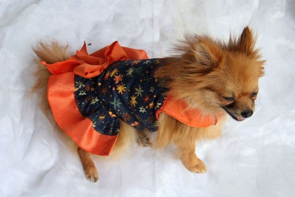 Las flores le quedan bien a este pequeñín, lista para salir a dar una vuelta al parque o llevarla a un paseo familiar.