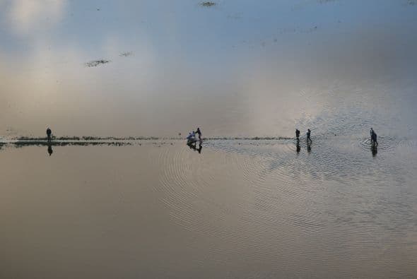 El primer ministro británico, David Cameron, presidió anoche otra reunión de emergencia.