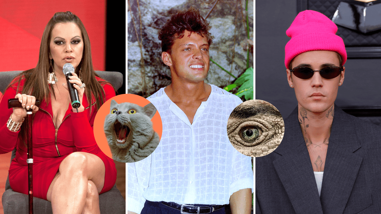 ¿Jenni Rivera está viva y Justin Bieber es reptiliano? Las teorías más locas sobre los famosos