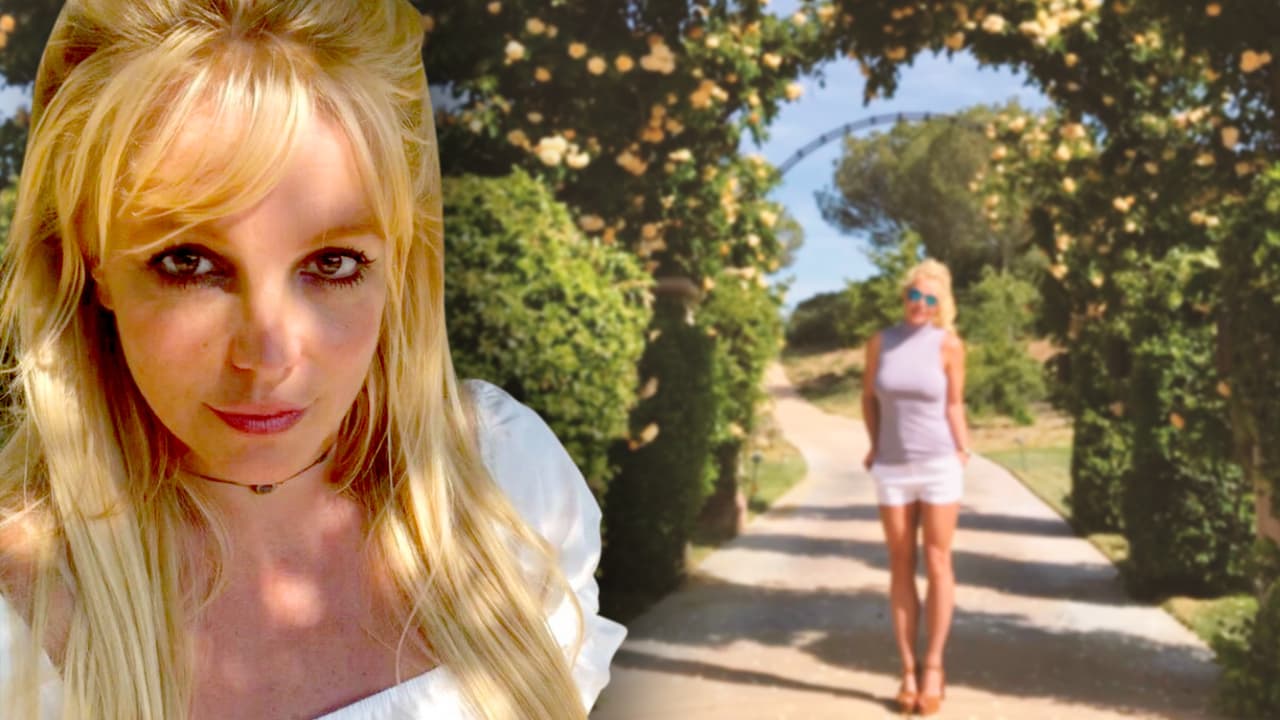 La cantante ha pedido 
<b><a href="https://www.univision.com/famosos/britney-spears-pide-tutora-y-no-su-padre-jamie" target="_blank">que su papá renuncie de manera definitiva</a></b> a esta responsabilidad y ha sugerido ante la corte que Jody Montgomery, su administradora, se quede con ese cargo de tiempo completo. 
<br>