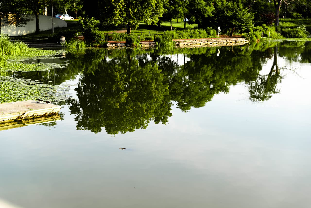 Ren's View Photography