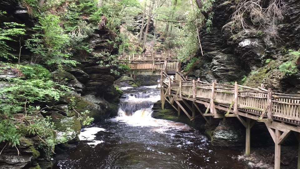 En lo alto de las tierras de las montañas Pocono del noreste de Pensilvania, corrientes de agua pura y cristalina brotan a través de grietas en la roca primitiva. Estas son las cabeceras de 
<a href="https://www.visitbushkillfalls.com/discover/getting-here/" target="_blank">Bushkill</a> Creek, un gran pantano vivo con el canto de aves silvestres.