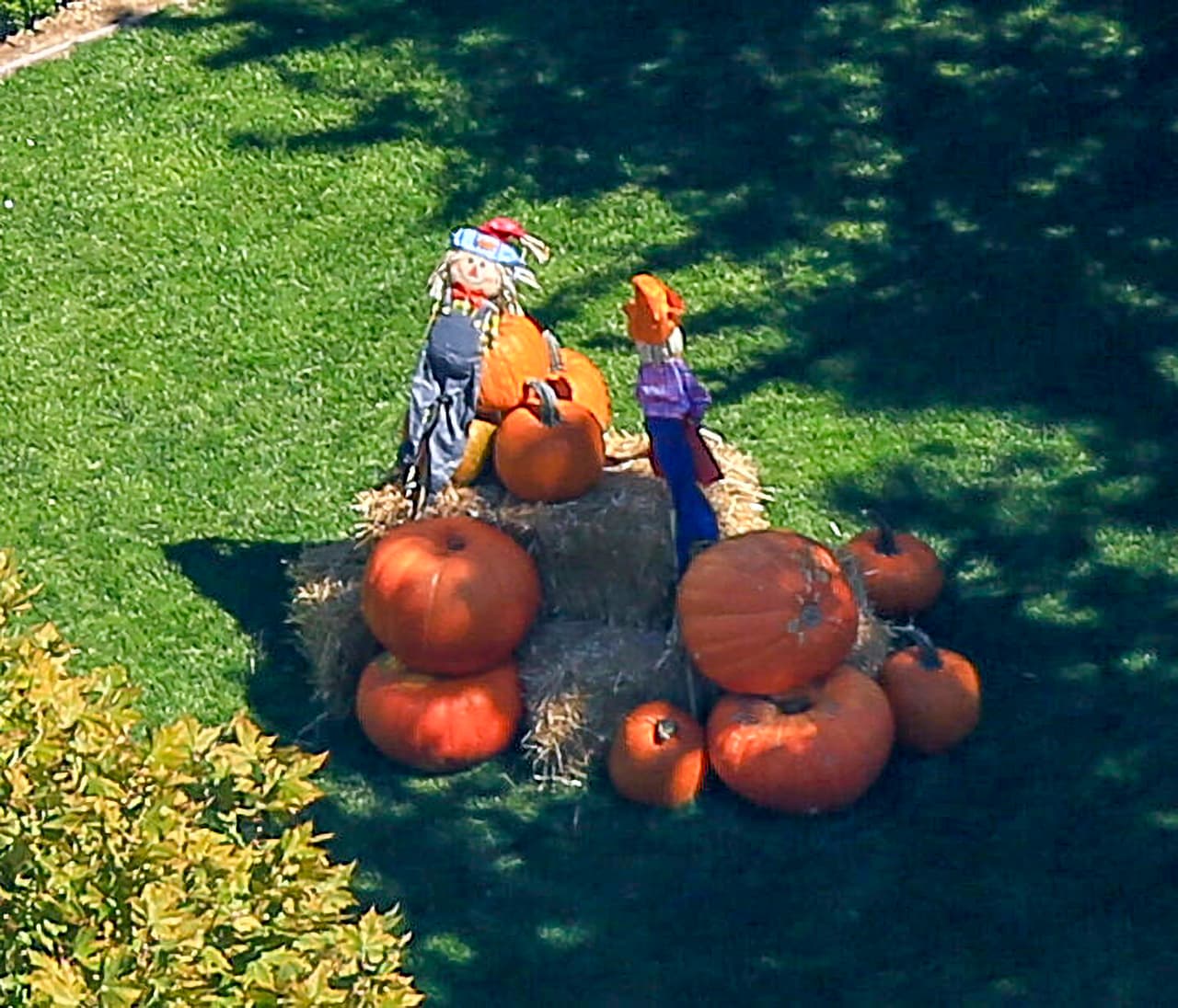 El jardín de la empresaria emularía un viejo granero en donde está lista la cosecha de calabazas para la gran noche de Halloween. 
<br>