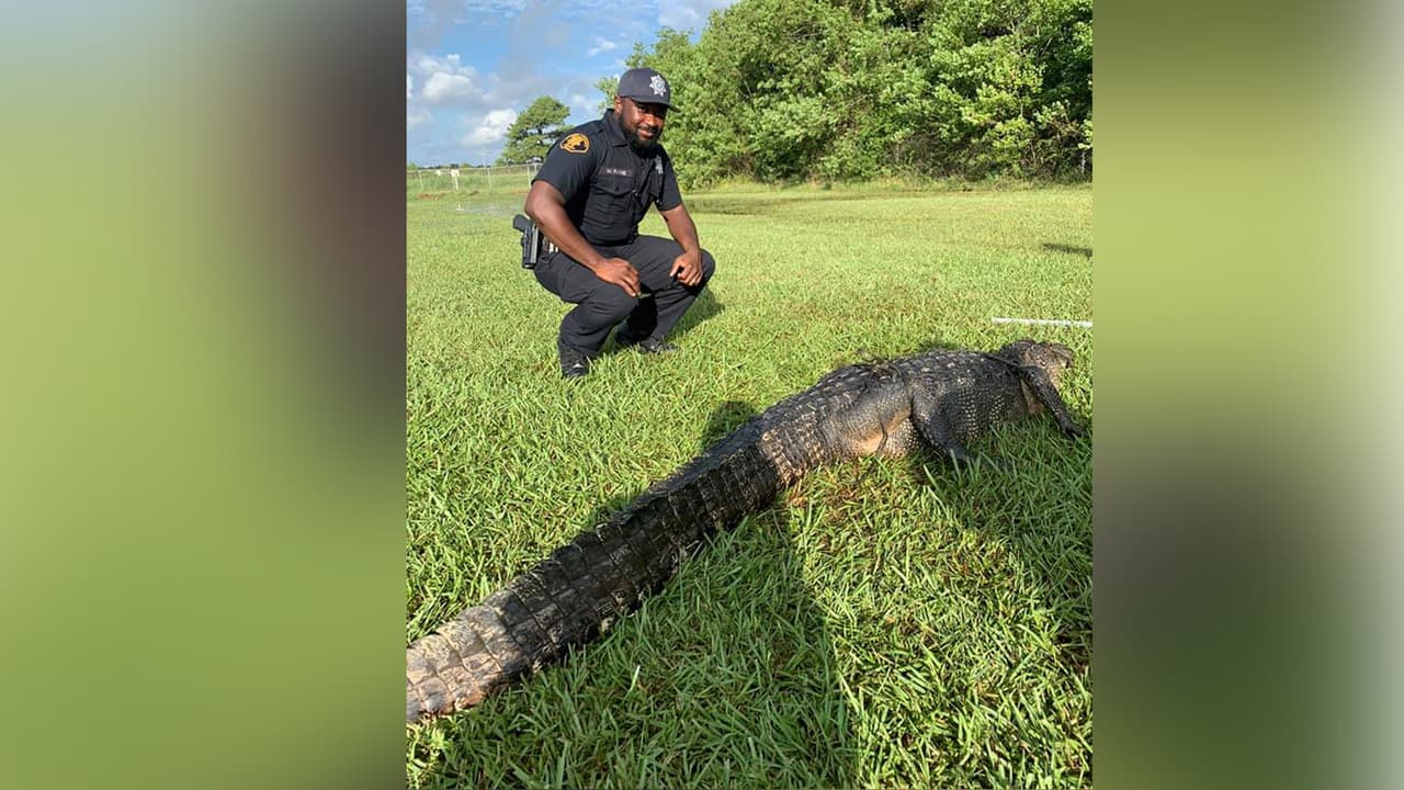 Los oficiales Batson y Payne ayudaron en la captura del reptil.