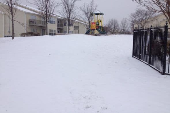Otra fotografía enviada por Irmaliz Gómez Gómez, desde McDonough, Georgia.